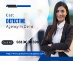 Apex Detective Agency