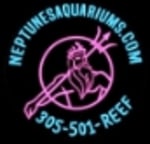 Neptunes Aquariums