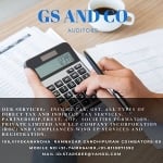 GS AND CO Auditors
