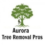 Aurora Tree Removal Pros