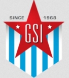 Government Sales Inc  Aviationhelmets.com