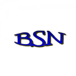 BSN Construction, Inc