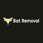 Bat Removal Hamilton