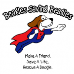 Beagle Rescue, Education, and Welfare (BREW), Inc