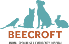 Beecroft Animal Specialists Services