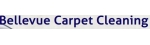 Bellevue Carpet Cleaner