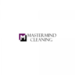 Mastermind Cleaning of the Palm Beaches