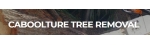 Caboolture Tree Removal Brisbane North