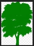Tree Lopping Redcliffe