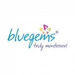 Bluegems Montessori