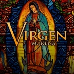 BOTANICA VIRGEN MORENA