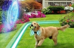 Invisible Dog Fence Installation