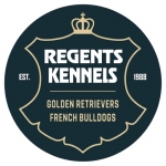 Regents Kennels - French Bulldogs and Golden