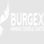 Burgex Mining Consultants