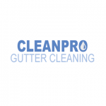 Clean Pro Gutter Cleaning St Paul