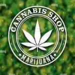 Cannaweed Plug