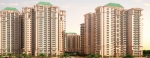 Noida Realty