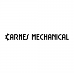 Carnesmechanical