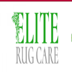 Best Rug & Carpet Cleaner NYC