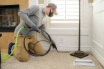 Wow Now Carpet Cleaning Tampa
