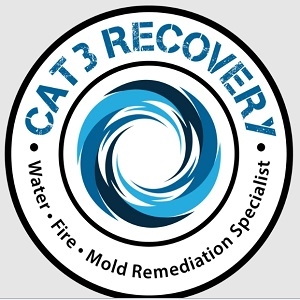 CAT 3 Recovery of SWFL