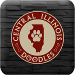 Central Illinois Doodles