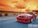 Desert Classic Mustangs