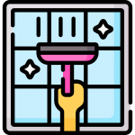 Rochester Cleaning Pros