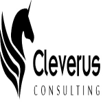 Cleverus SEO Malaysia &amp; Digital Marketing