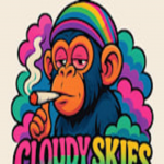 CloudySkies Vape Shop
