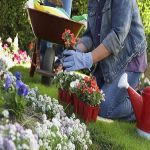 Commercial tarmac cleaning