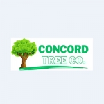 Concord Tree Co