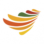 Conure Technology services