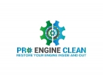 Pro Engine Clean