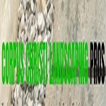 Corpus Christi Landscaping Pros