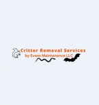 Critter Removal Services