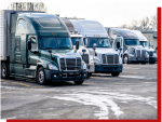 Cross Border Movers
