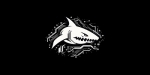 Cybershark.ch (Vural IT-Solutions)