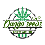 Dagga Seeds
