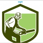 The Ridgefield Tree Service