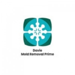 Davie Mold removal Prime