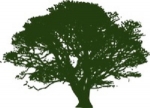 Trinity Tree Service Alexandria