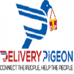 Delivery Pigeon