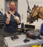Equine Dental Instruments