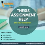 Global Assignment Expert