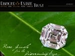  Diamond & Estate Trust