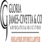 Singapore Divorce Lawyer