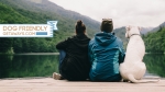 Dog Friendly Getaways