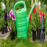 Commercial driveway pressure washing