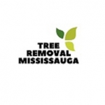 Tree Removal Mississauga